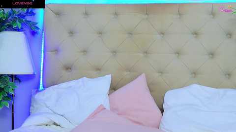 daliyaarabian free recording from 2026-04-23 00:18:00