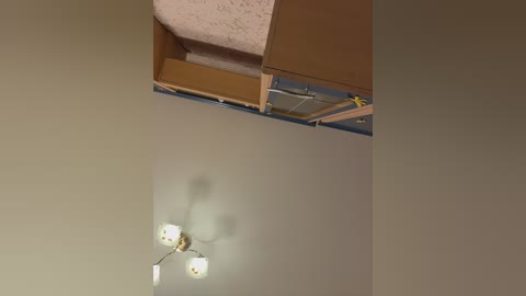 littledelora free recording from 2026-04-23 01:58:00