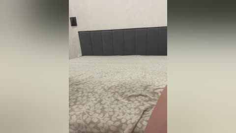 pararam free recording from 2026-04-22 04:05:00