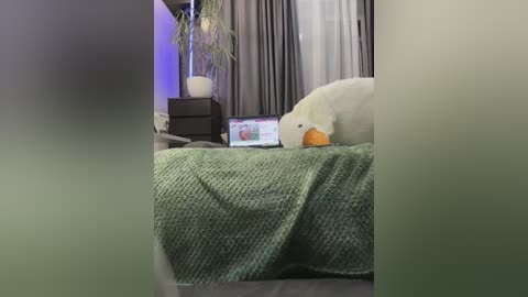 vero19nika free recording from 2026-04-24 00:45:00