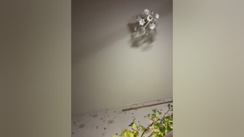 bellaandalice free recording from 2026-04-25 00:04:00