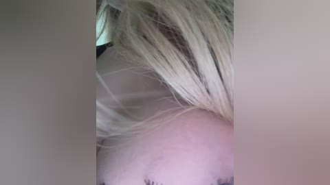 ellidi free recording from 2026-04-25 00:38:00