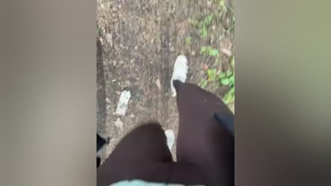 aniram2221 free recording from 2026-04-25 13:56:00