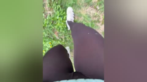 aniram2221 free recording from 2026-04-25 14:32:00