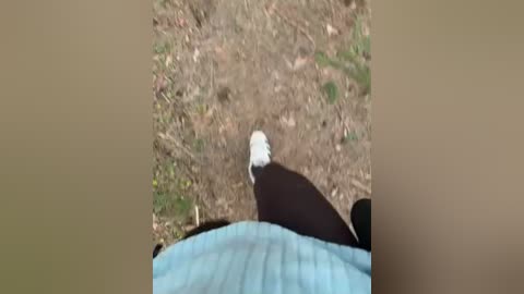 aniram2221 free recording from 2026-04-28 00:15:00