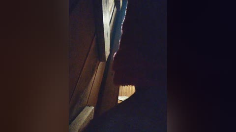 mandasex free recording from 2026-04-30 02:42:00