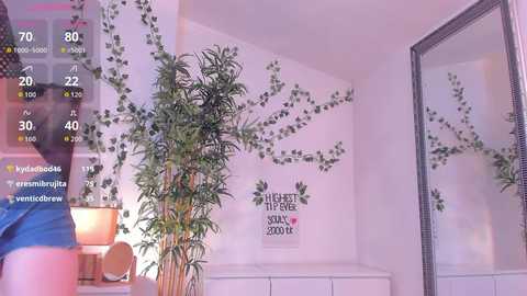 mira0_0 free recording from 2026-04-25 00:09:00