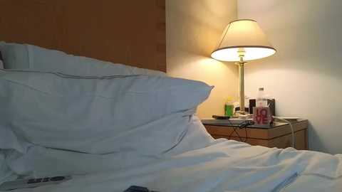 mr_and_mrs_smith_xxl free recording from 2026-04-26 01:04:00