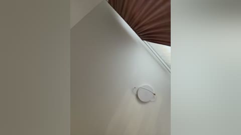 notbellucci free recording from 2026-04-28 00:01:00