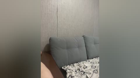 achilessynpilea free recording from 2026-04-26 09:27:00