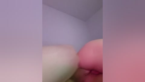 tomsan free recording from 2026-04-26 02:03:00