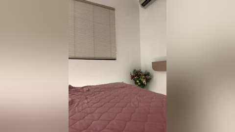 xalaxala free recording from 2026-04-26 20:02:00