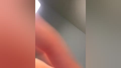 nomoneynohoney free recording from 2026-04-29 00:21:00