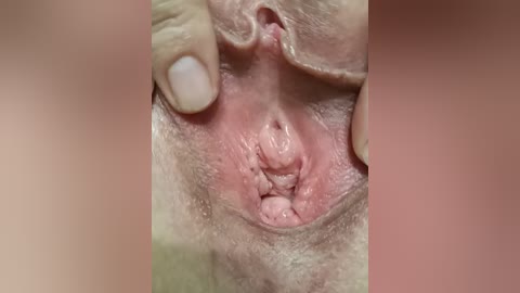 szanet free recording from 2026-04-27 20:29:00