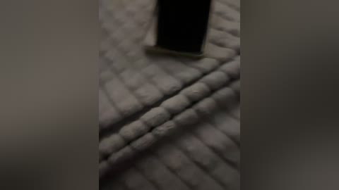 2bro free recording from 2026-04-28 00:47:00