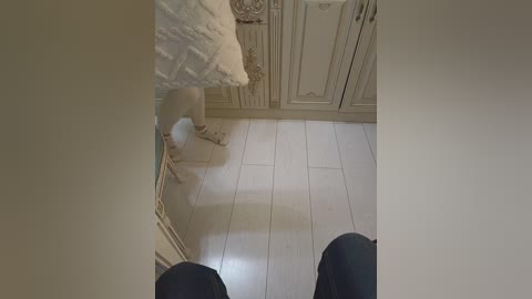 gerda_and_kai free recording from 2026-04-28 00:47:00