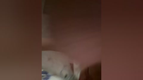 vip17coupledream free recording from 2026-04-29 00:30:00