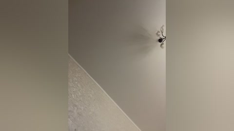 hellmor free recording from 2026-04-30 01:22:00