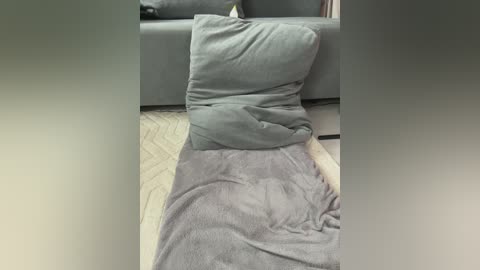 pelageyaa_a free recording from 2026-04-29 02:39:00