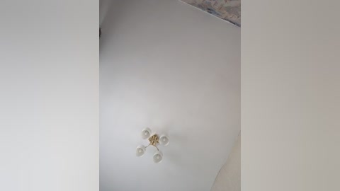 smeh_i_greh free recording from 2026-04-29 00:21:00