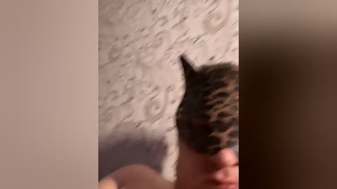good2321 free recording from 2026-05-02 01:05:00