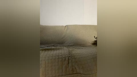 vacilonlime free recording from 2026-05-02 04:45:00